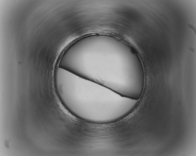X0000102501079200808080939