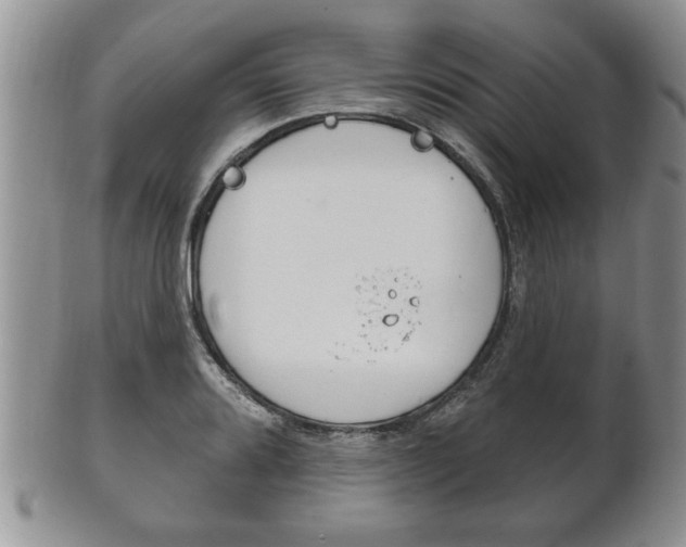X0000102501080200808080939