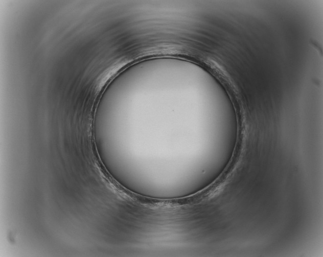 X0000102501081200808080939