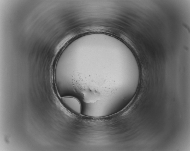 X0000102501082200808080939