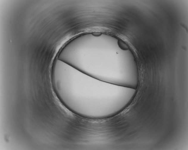 X0000102501083200808080939