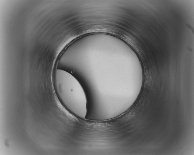 X0000102501084200808080939
