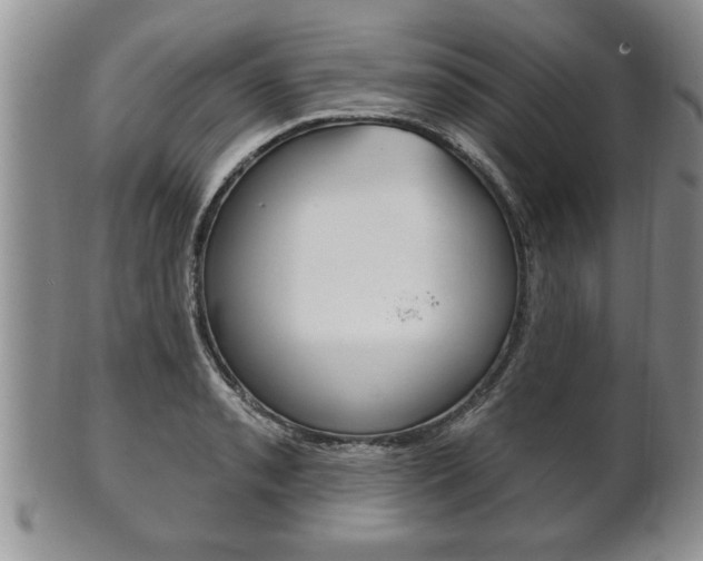 X0000102501085200808080939