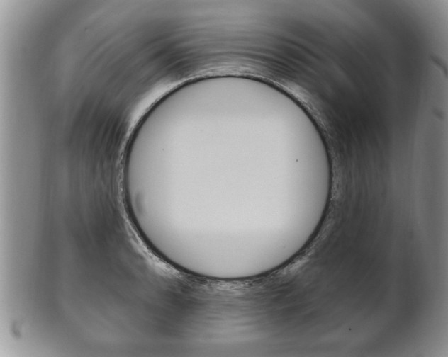 X0000102501086200808080939