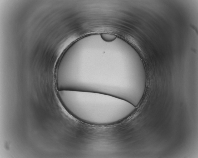 X0000102501087200808080939