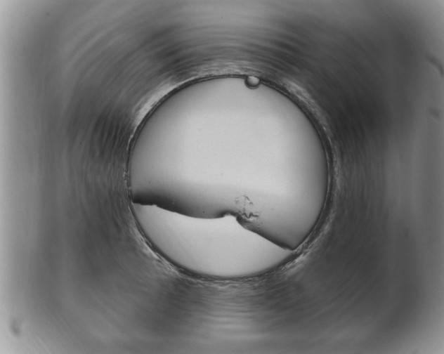 X0000102501089200808080939