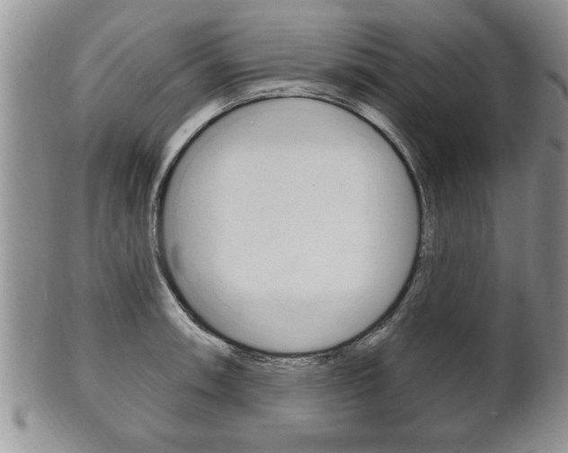X0000102501090200808080939