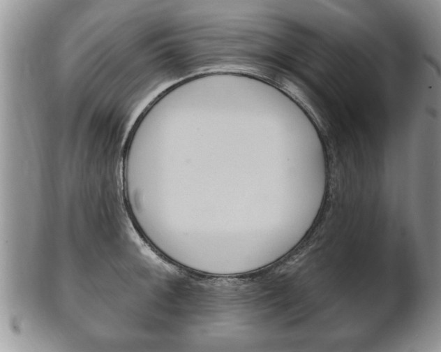 X0000102501092200808080939