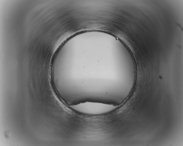 X0000102501093200808080939
