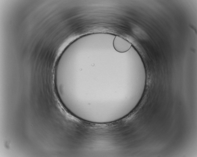 X0000102501094200808080939