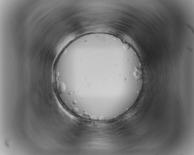 X0000102501095200808080939