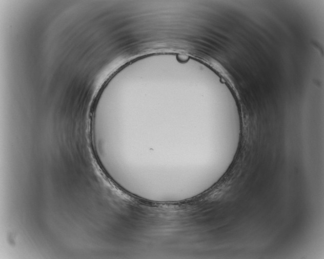 X0000102501096200808080939