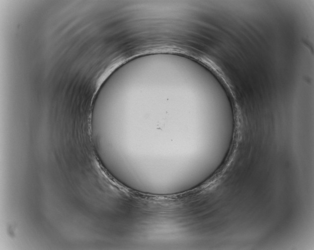 X0000102501097200808080939