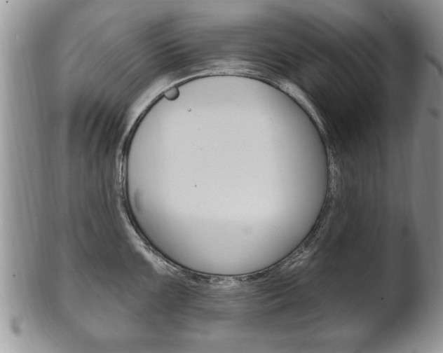 X0000102501099200808080939