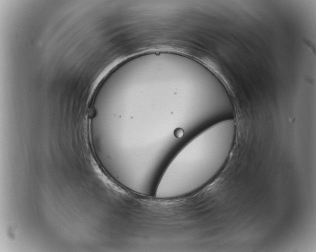 X0000102501100200808080939