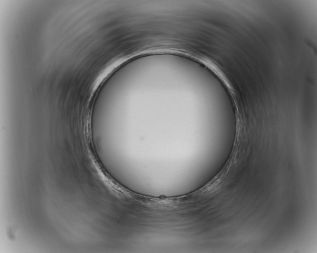 X0000102501101200808080939