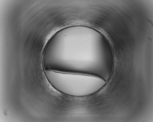 X0000102501102200808080939
