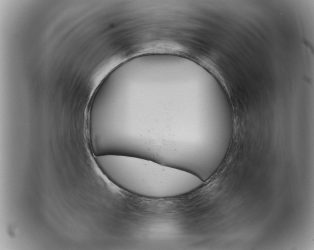 X0000102501103200808080939