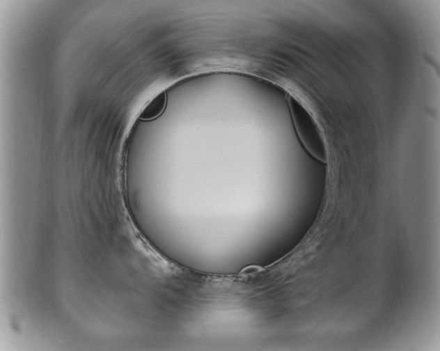 X0000102501104200808080939