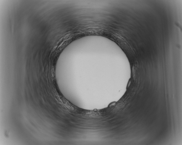 X0000102501107200808080938