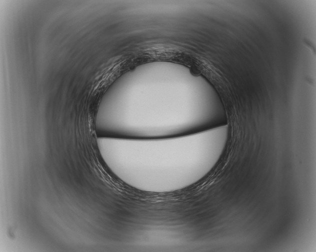 X0000102501108200808080938