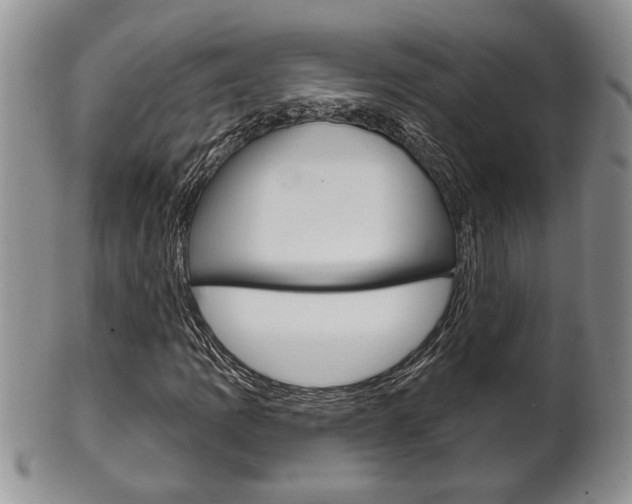X0000102501109200808080938