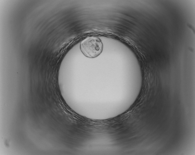 X0000102501110200808080938