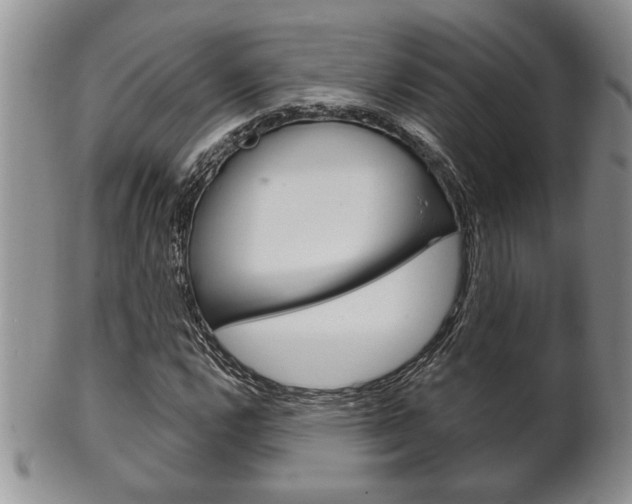 X0000102501112200808080938