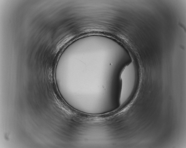 X0000102501113200808080938