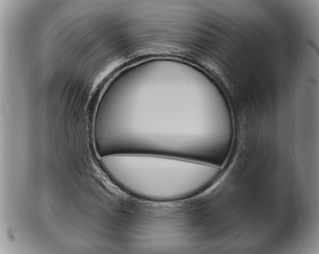 X0000102501114200808080938