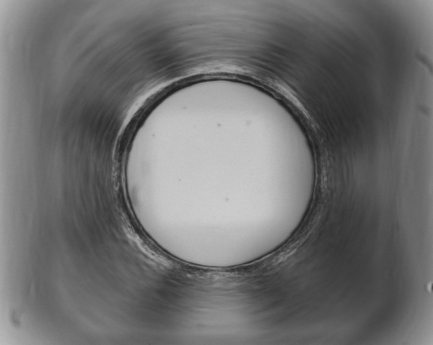 X0000102501116200808080938