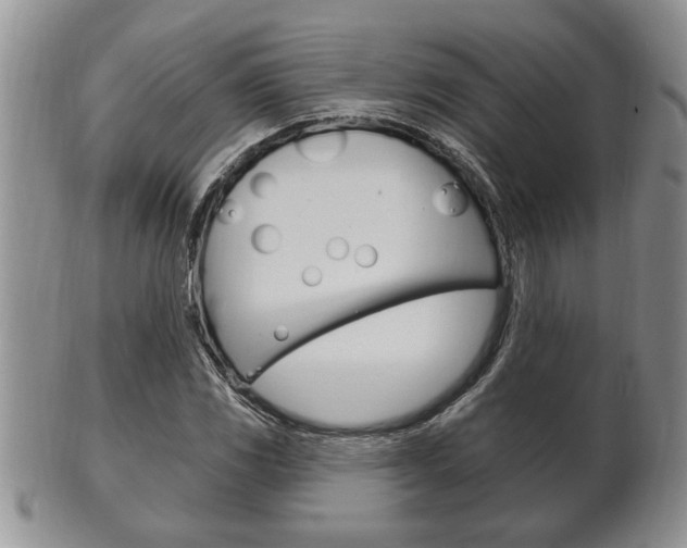 X0000102501117200808080938