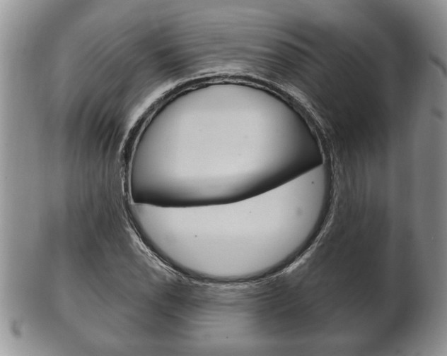X0000102501118200808080938