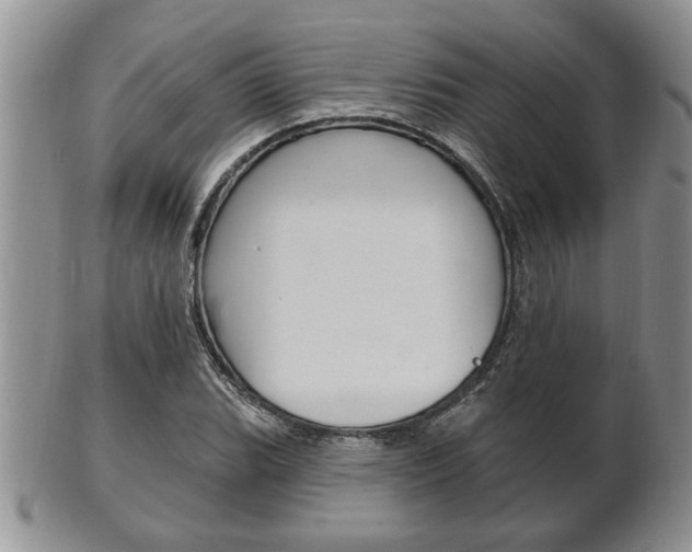 X0000102501119200808080938