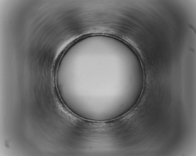 X0000102501120200808080938