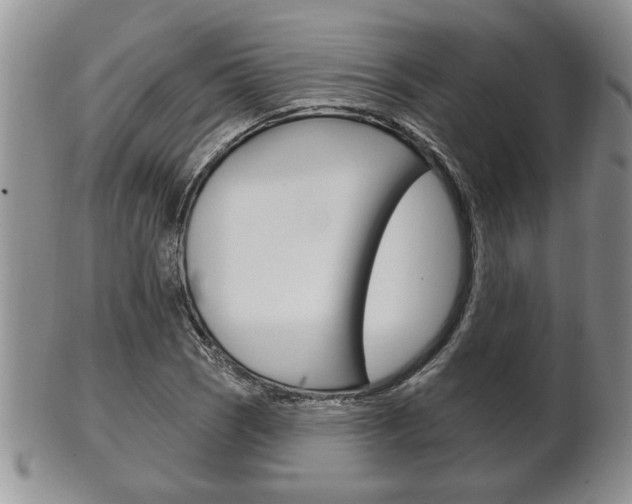X0000102501121200808080938