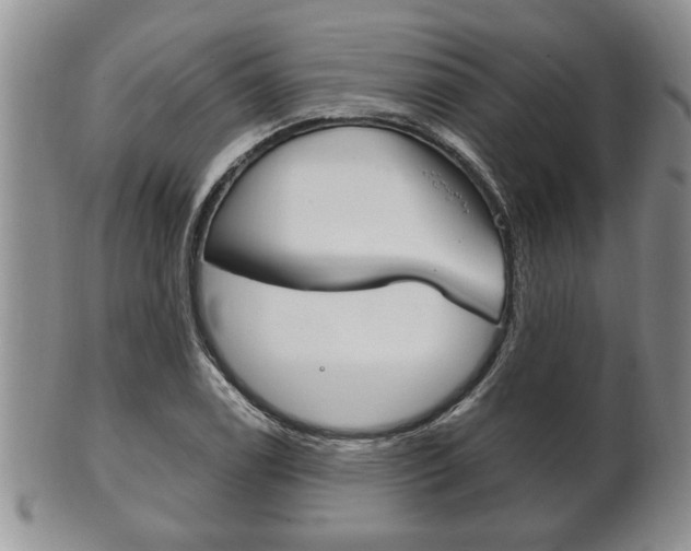 X0000102501122200808080938