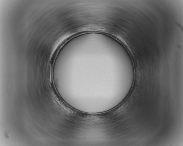 X0000102501123200808080938