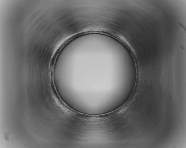 X0000102501124200808080938