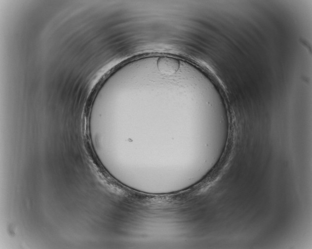 X0000102501125200808080938