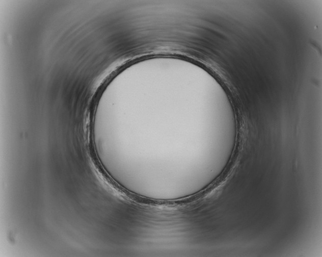 X0000102501126200808080938