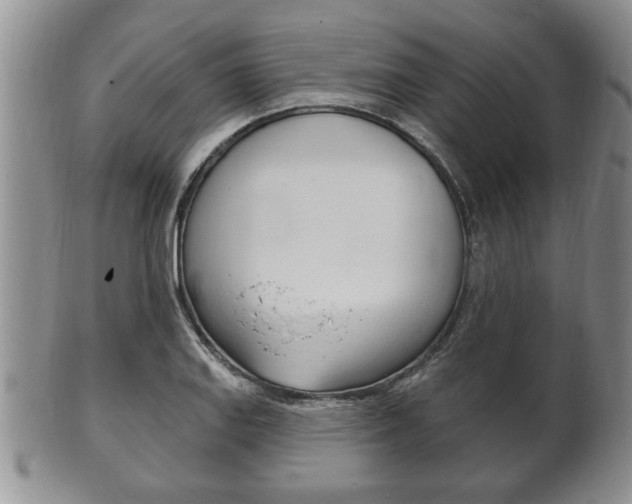 X0000102501127200808080938