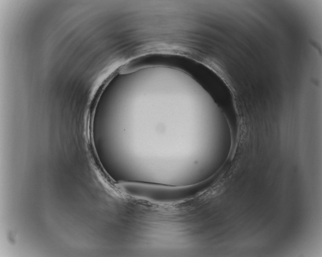 X0000102501128200808080938