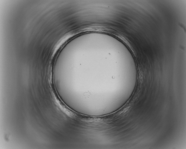X0000102501131200808080939