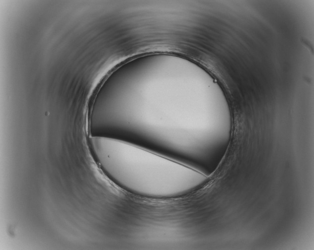 X0000102501132200808080939
