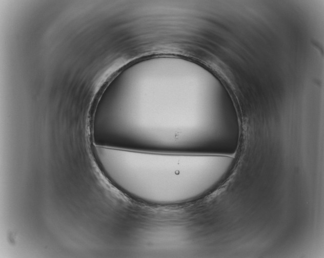 X0000102501133200808080939