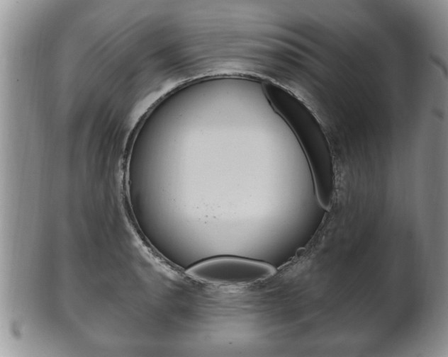 X0000102501134200808080939