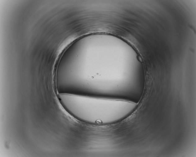 X0000102501135200808080939