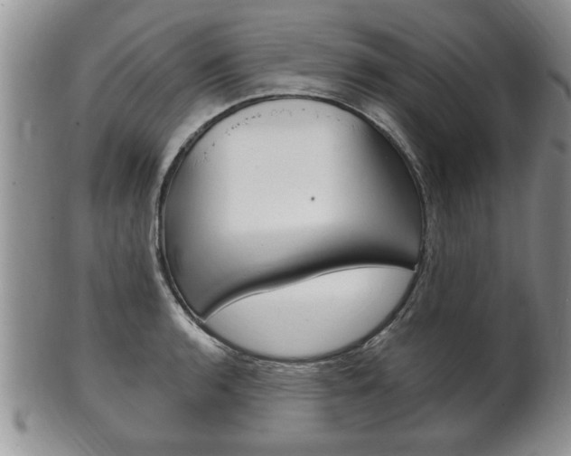 X0000102501136200808080939