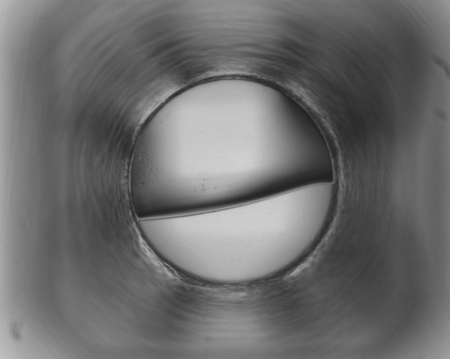 X0000102501137200808080939